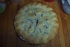 Fresh picked Blackberry Pie for Miso