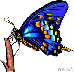 runningrl's Avatar