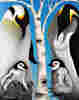 Reverend Mother's Avatar