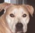 its_a_gas's Avatar